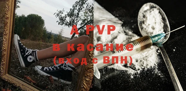 твердый Няндома