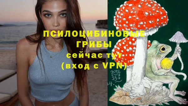 2c-b Нягань