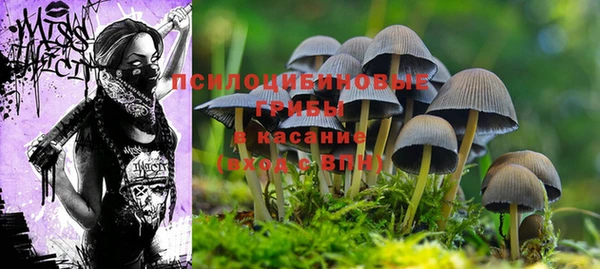 2c-b Нягань