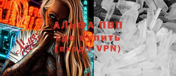 ПСИЛОЦИБИНОВЫЕ ГРИБЫ Новодвинск