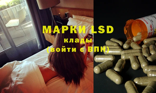 ПСИЛОЦИБИНОВЫЕ ГРИБЫ Новодвинск