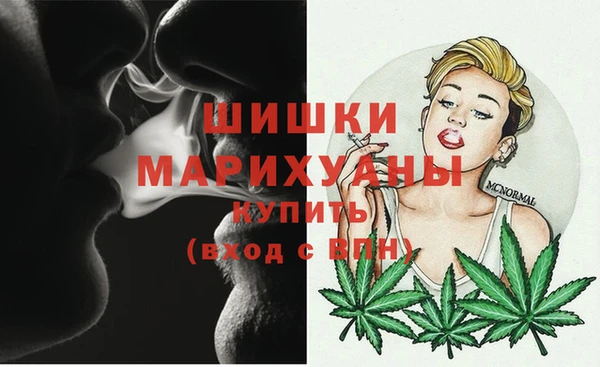 твердый Няндома