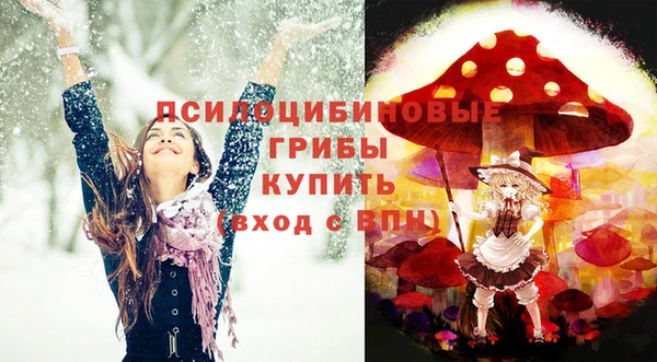 ПСИЛОЦИБИНОВЫЕ ГРИБЫ Новодвинск