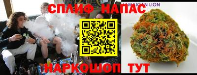 молекула духа Коммунар