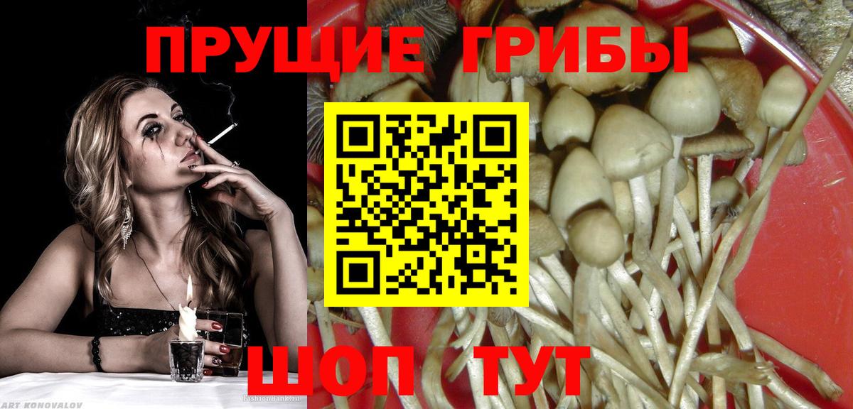 Каннабис  Вход с VPN  Моздок  Гашиш  Меф МЯУ МЯУ кристаллы  MDMA 