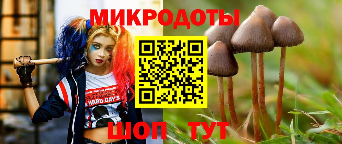 Галлюциногенные грибы мицелий  Вход с VPN  Галлюциногенные грибы Cubensis  Моздок 