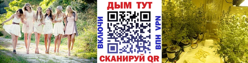 Каннабис планчик  Моздок 